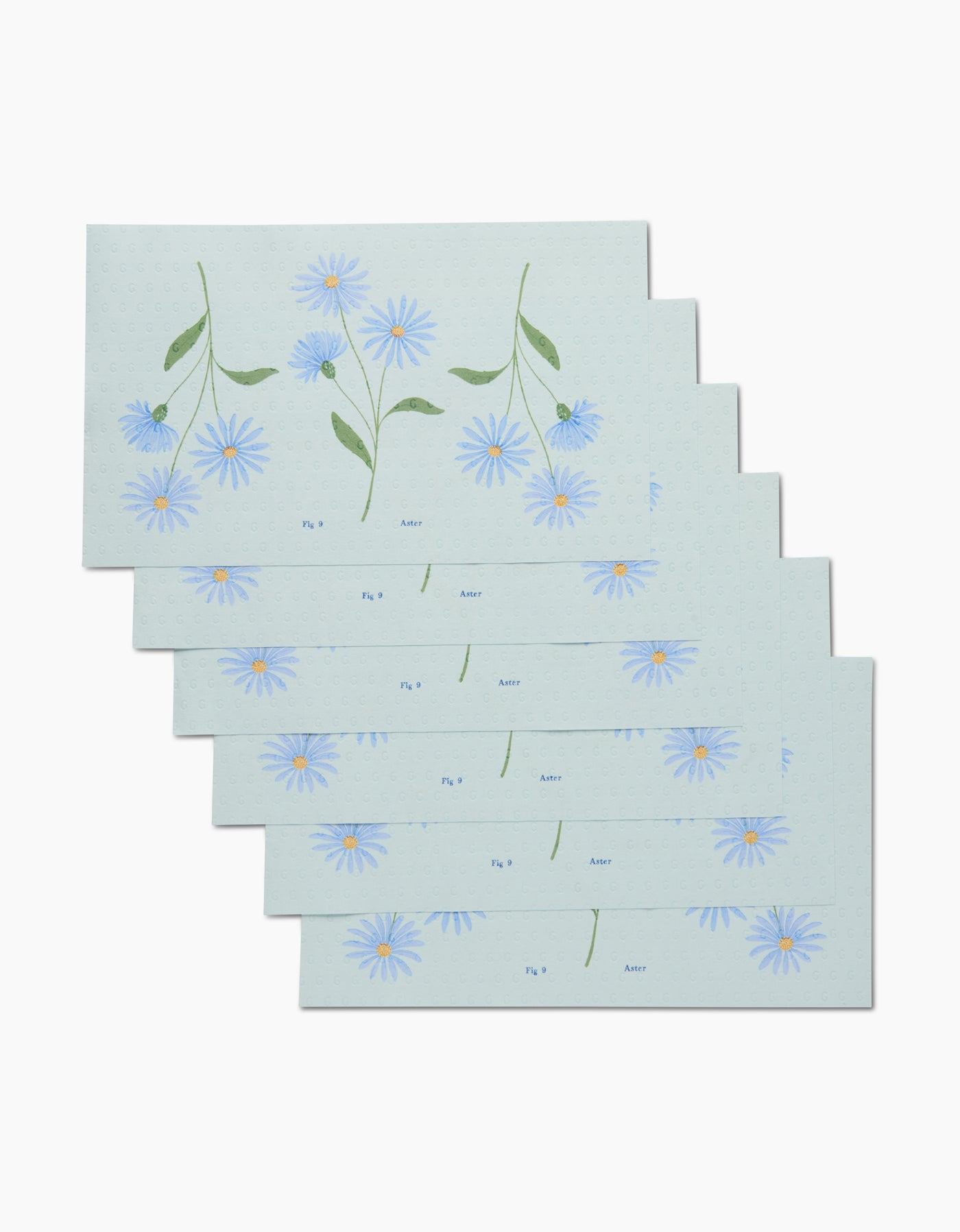 September Aster Not Paper Towel