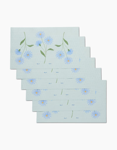 September Aster Not Paper Towel