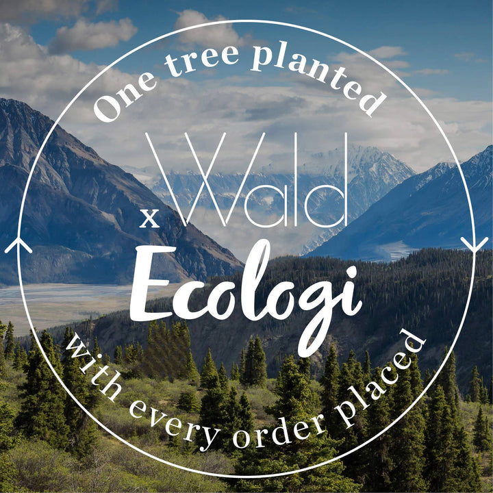 Flower Press - Daisy