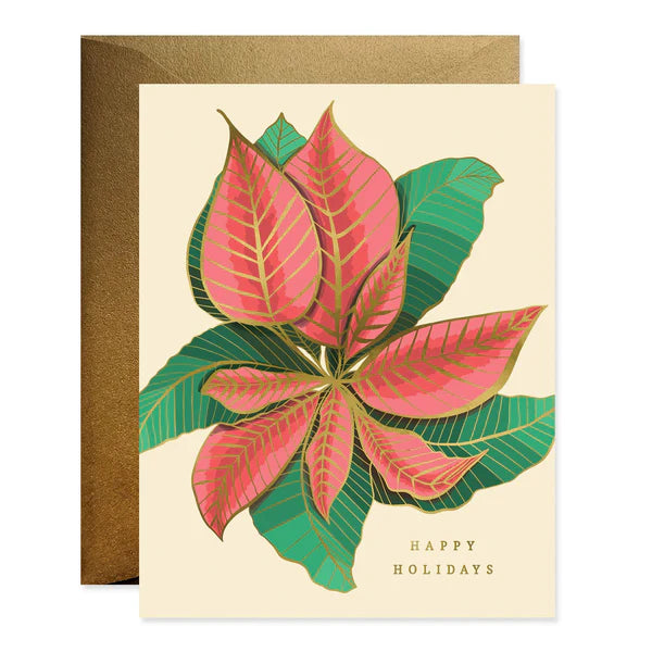 Nouveau Poinsettia