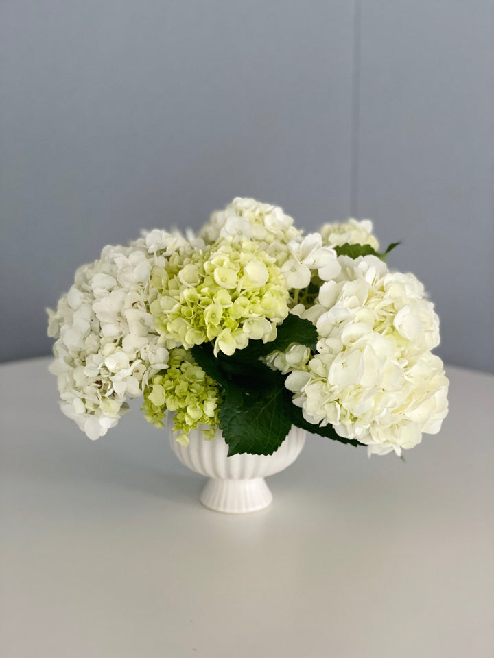 Bloom Hydrangea Centerpiece
