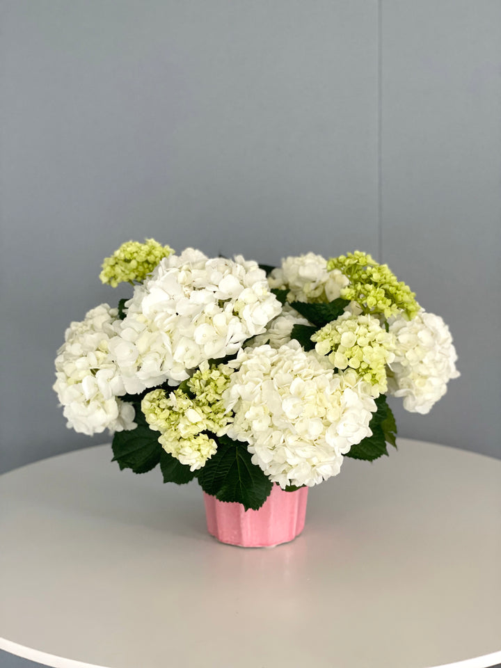 Bloom Hydrangea Centerpiece