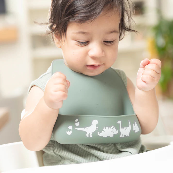 Dino Rawr Little Bites Bib