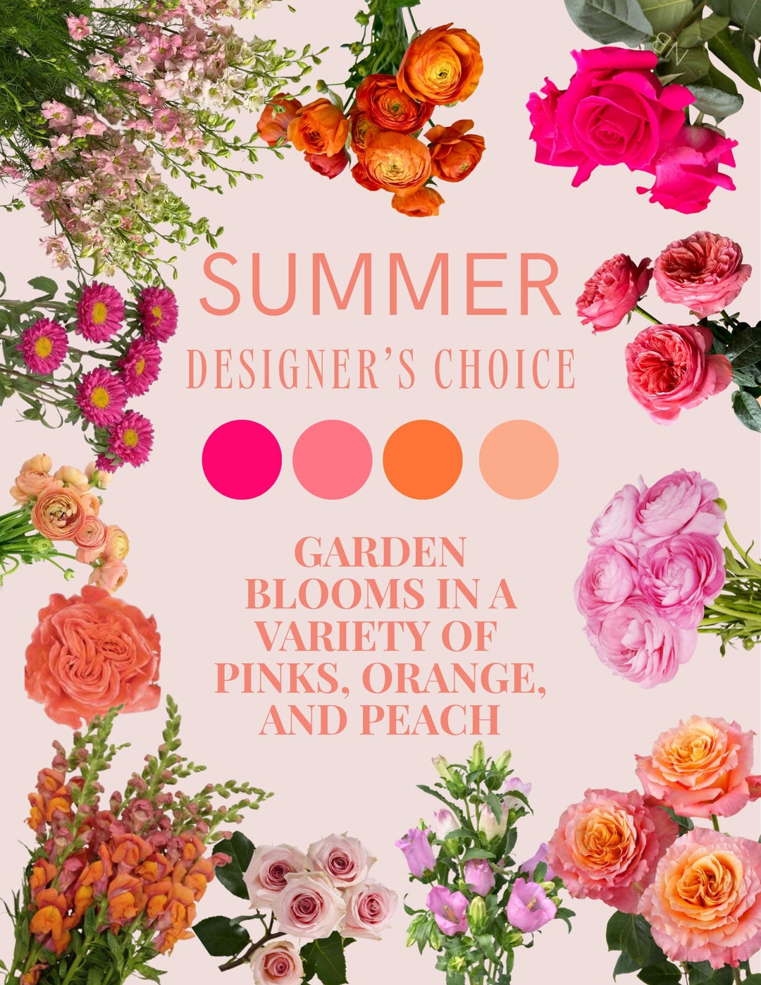Designer's Choice Arrangement
