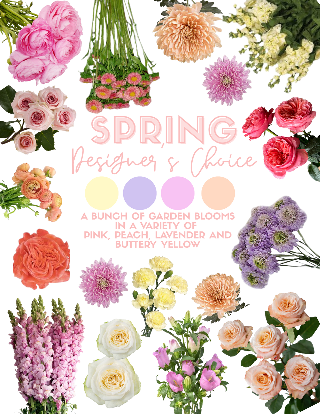 Designer's Choice Arrangement