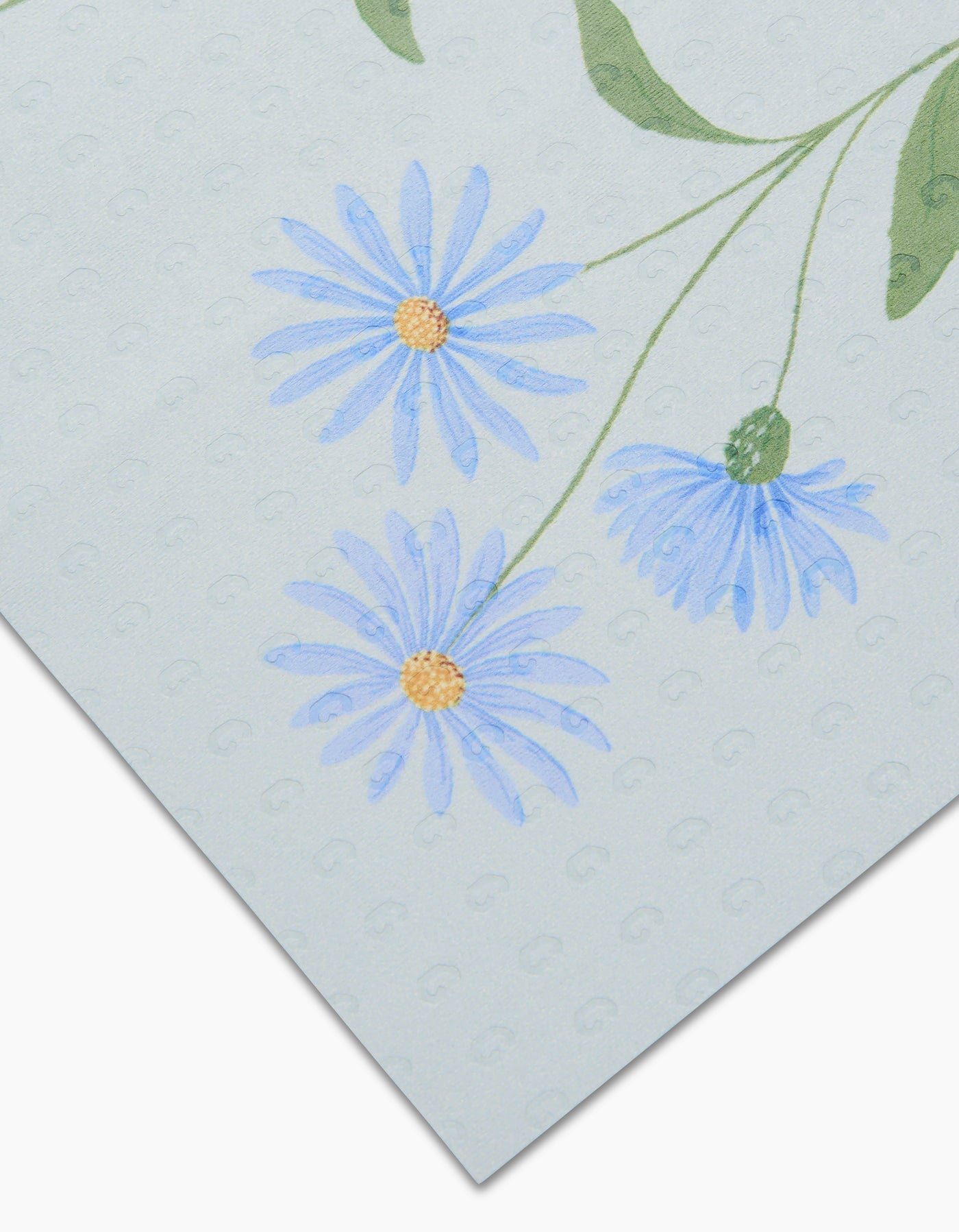 September Aster Not Paper Towel