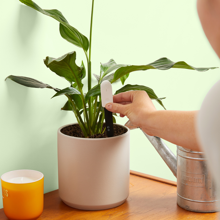 Soil Moisture Meter For Houseplants