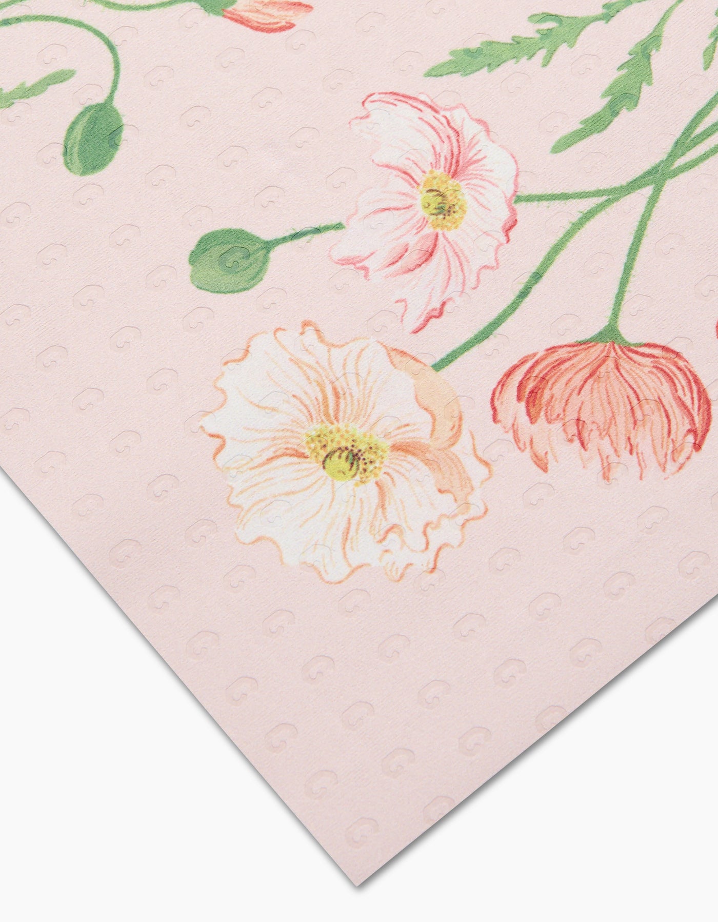 August Poppy Not Paper Towel