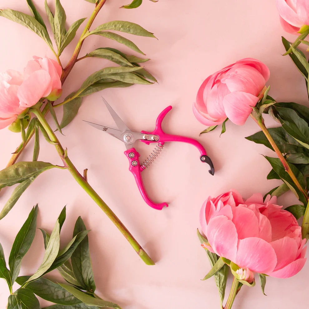 Pruning Shears