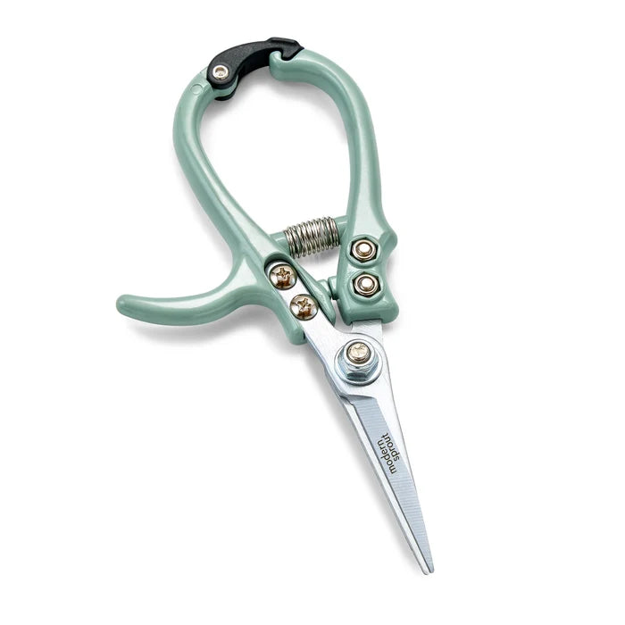Pruning Shears