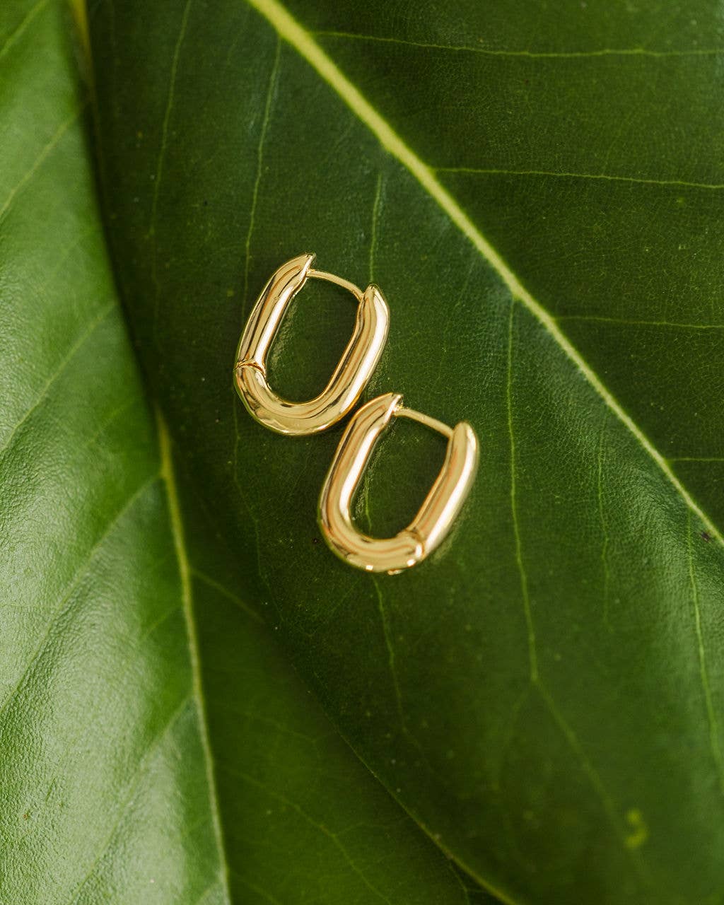 Mel Earrings - Gold Hoops Earrings