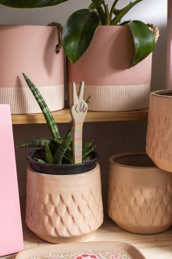 Goodwill Plant Stick